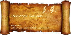 Janicsek Galamb névjegykártya